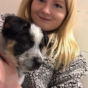 Meet your Posher, Kenzie